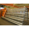 Steel Frame Chicken Poultry Equipment Cage for Chicken